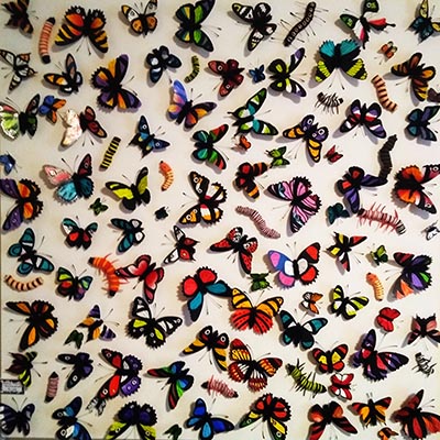 Metamorphosis butterfly painting - stephen french original artwork